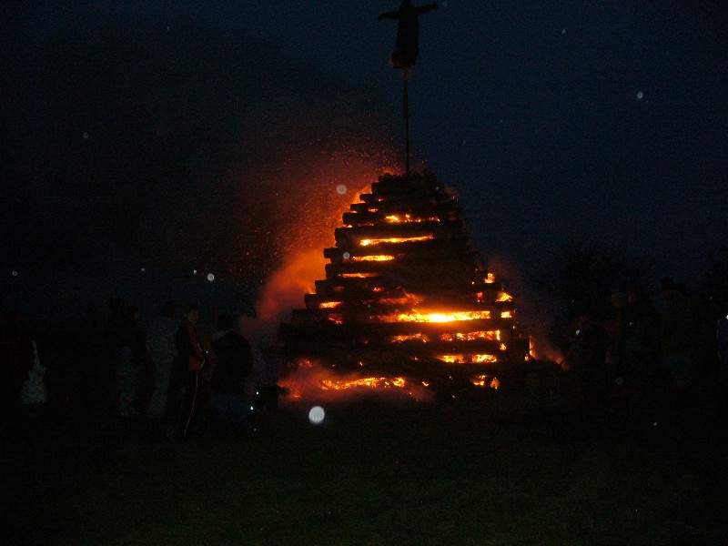 P1050583.jpg